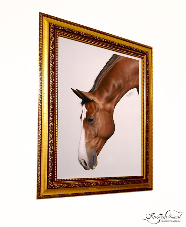 Bay Mare - Image 3